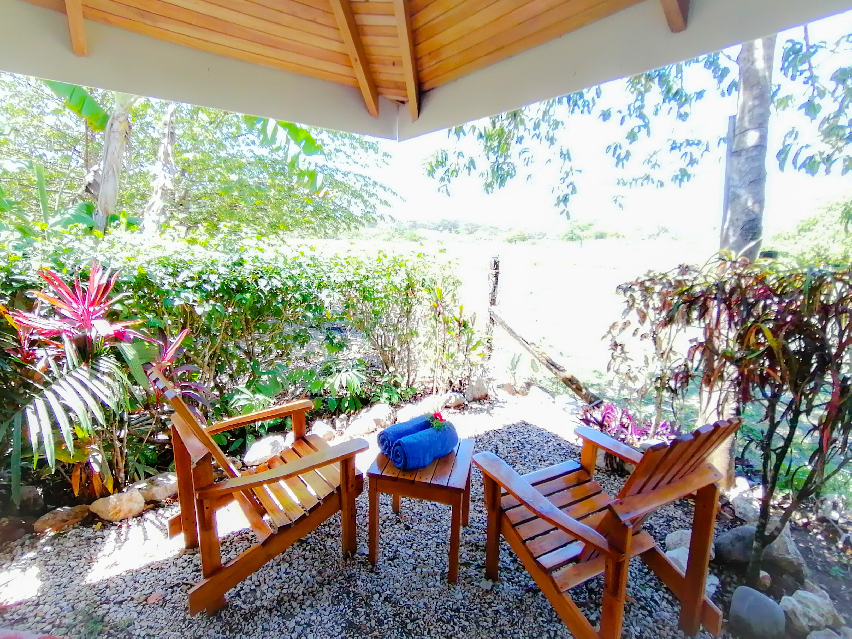 Superior-Doppelzimmer | Terrasse/Patio