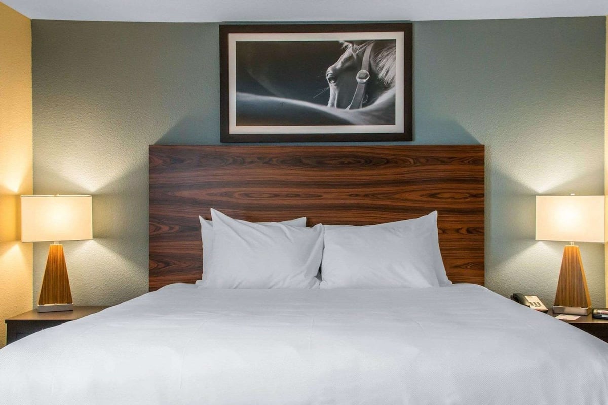 Suite, 1 King-Bett und Schlafsofa, Nichtraucher | Pillowtop-Betten, Schreibtisch, laptopgeeigneter Arbeitsplatz