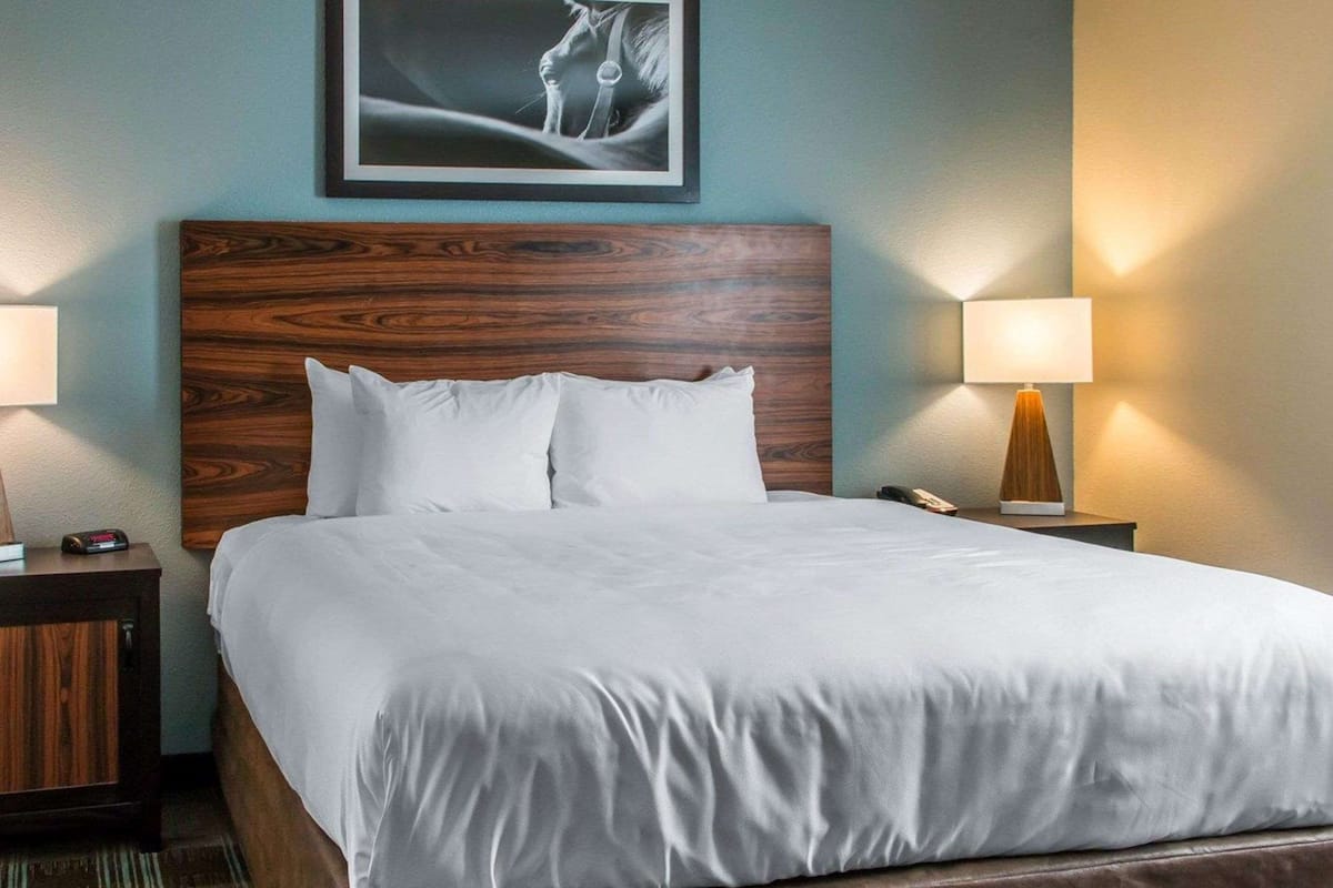 suite, 1 king bed with sofa bed, non smoking (2 person sofa bed) | pillow-top beds, desk, laptop workspace, iron/ironing board