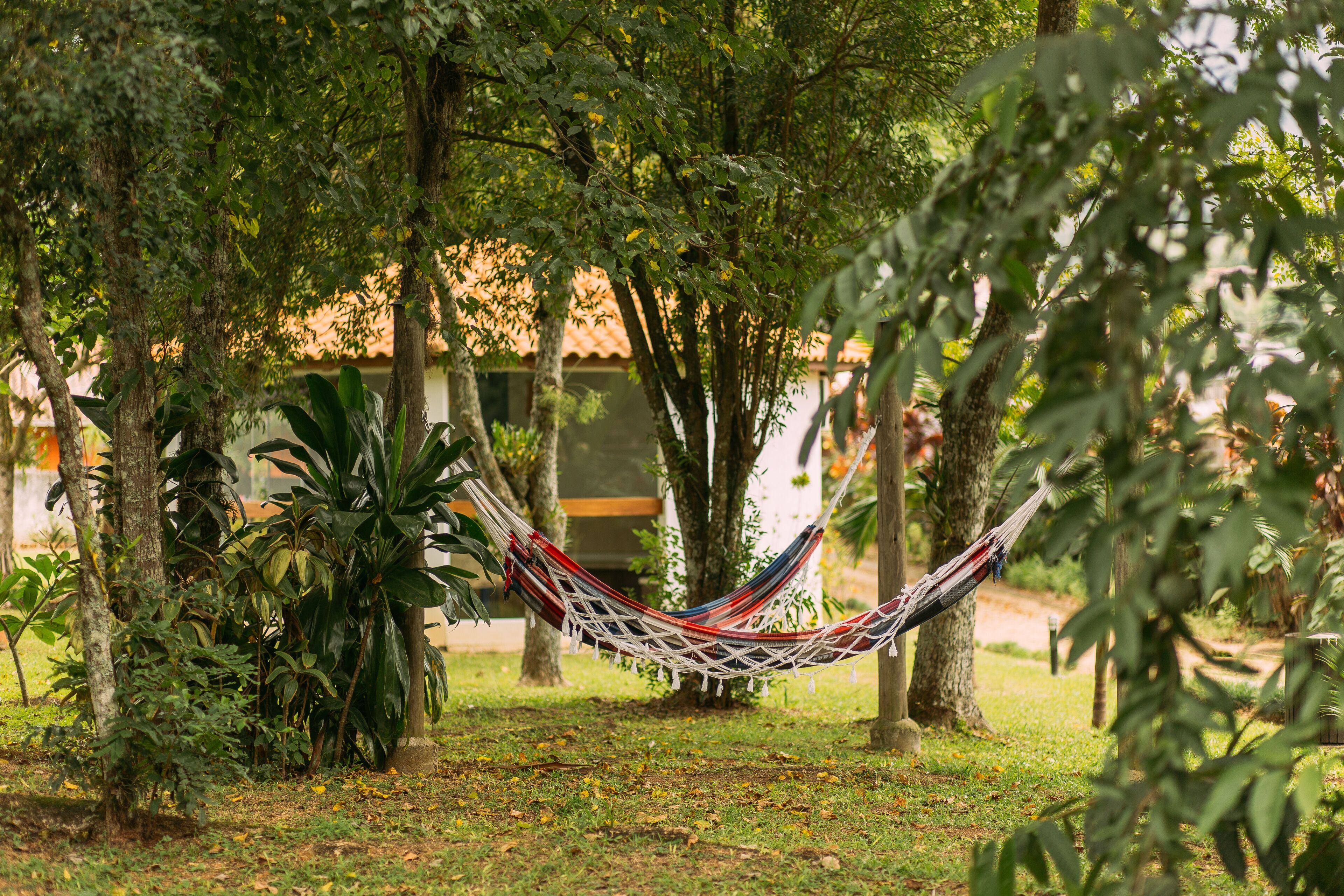 A hammock in a lush garden with trees and plants.