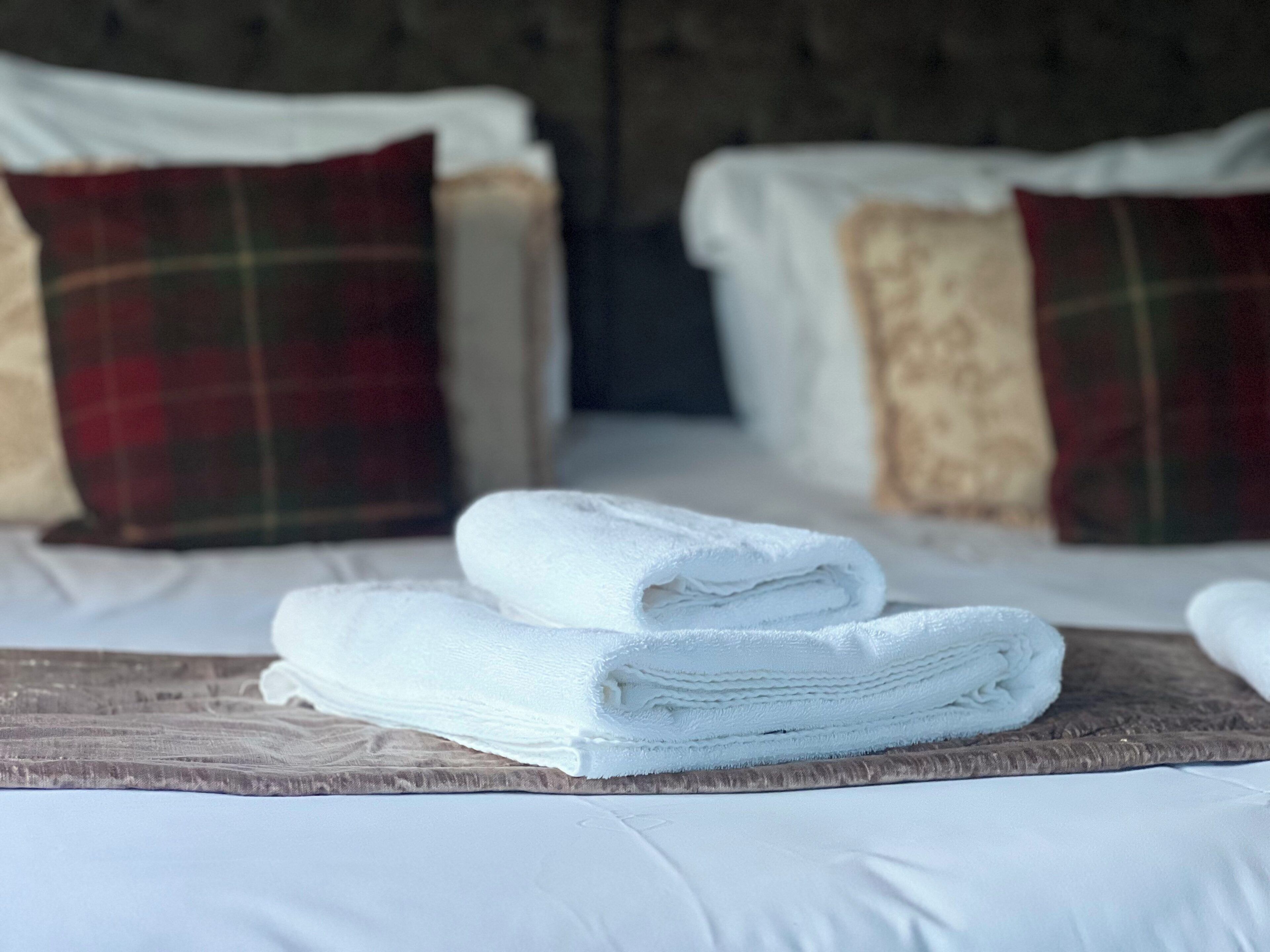 double or twin room (pet friendly room) | 1 bedroom, iron/ironing board, cots/infant beds, bed sheets