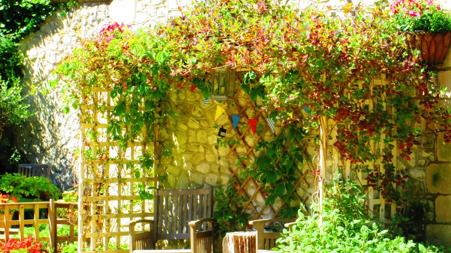 Weston Manor Bed and Breakfast