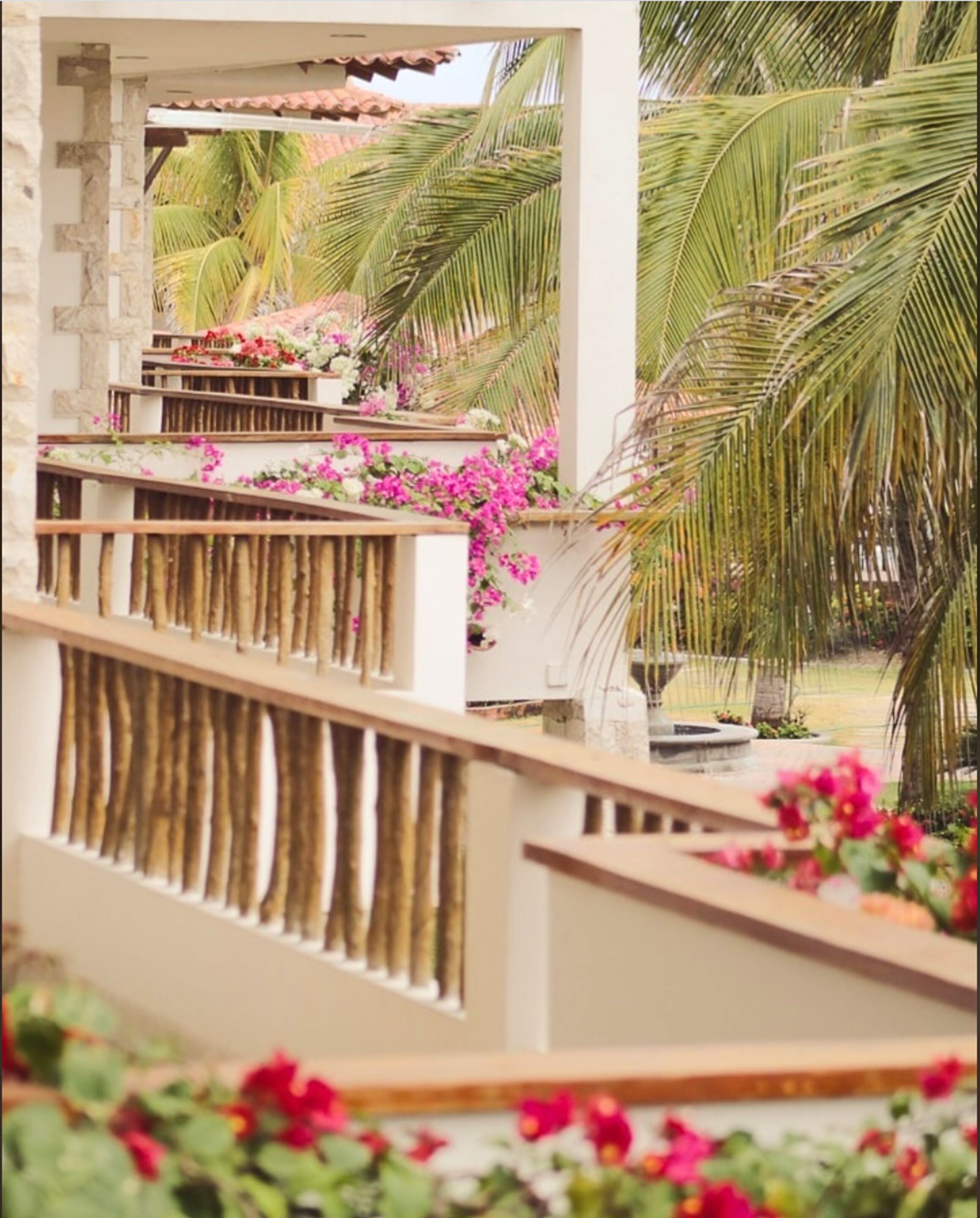 Vista desde la habitación