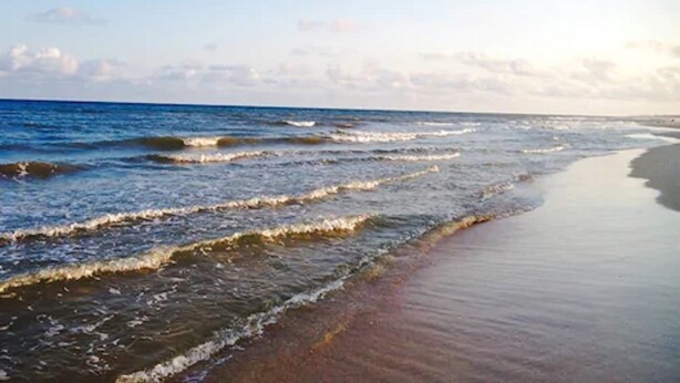 A beach with waves gently lapping onto the shore. - St. George Inn (St. George Island)
