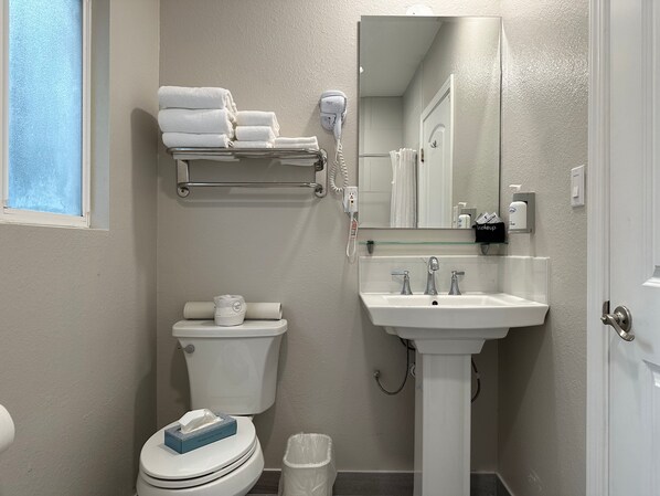 Une salle de bain équipée de toilettes, d’un lavabo, d’un porte-serviettes, d’un sèche-cheveux et d’un miroir.