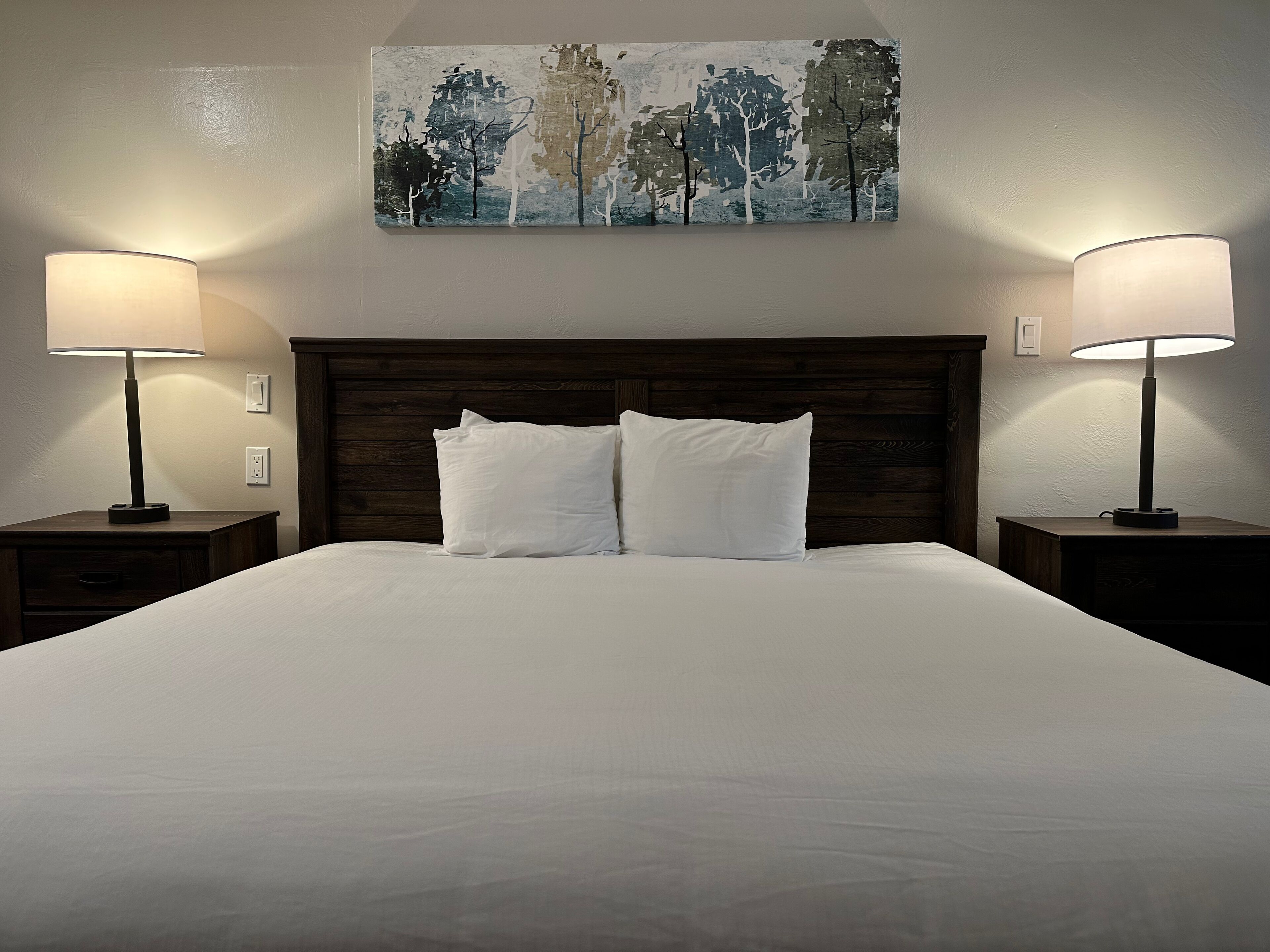 standard room, 1 king bed | pillow-top beds, cots/infant beds, free wifi, bed sheets