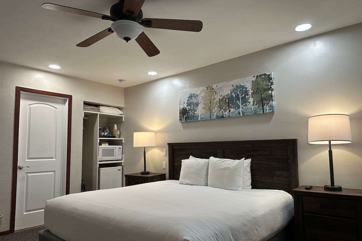 A hotel room with a bed, a ceiling fan, a painting, a microwave, and a nightstand with a lamp.