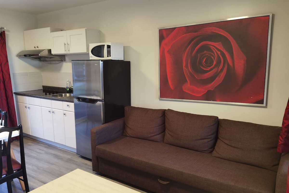 A compact living space with a kitchenette, a brown sofa, a small table, and a large framed picture of a red rose on the wall.