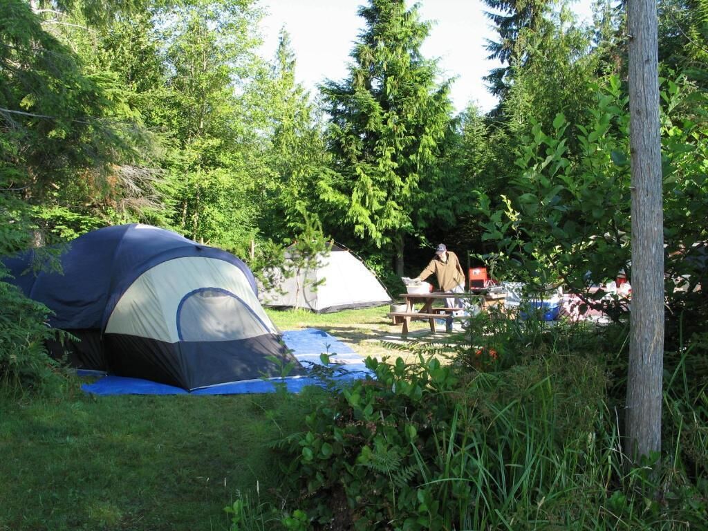 A tent set up in a forested area with a picnic table nearby.
