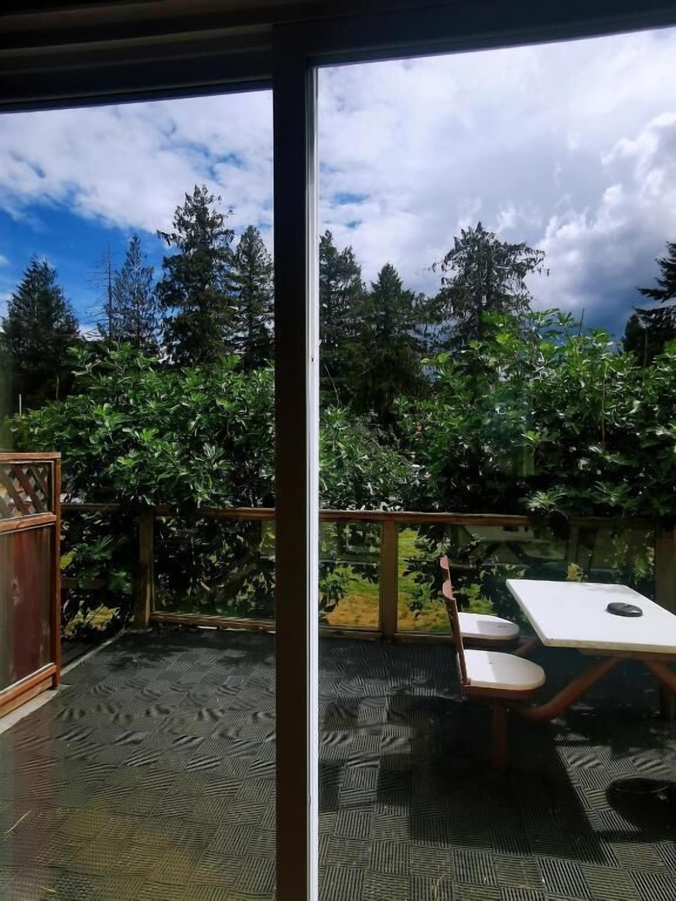 Un patio al aire libre con mesa y sillas, rodeado de abundante follaje y árboles.