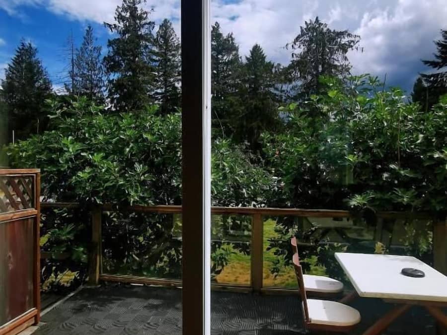 Um pátio externo com mesa e cadeiras, cercado por folhagem densa e árvores.