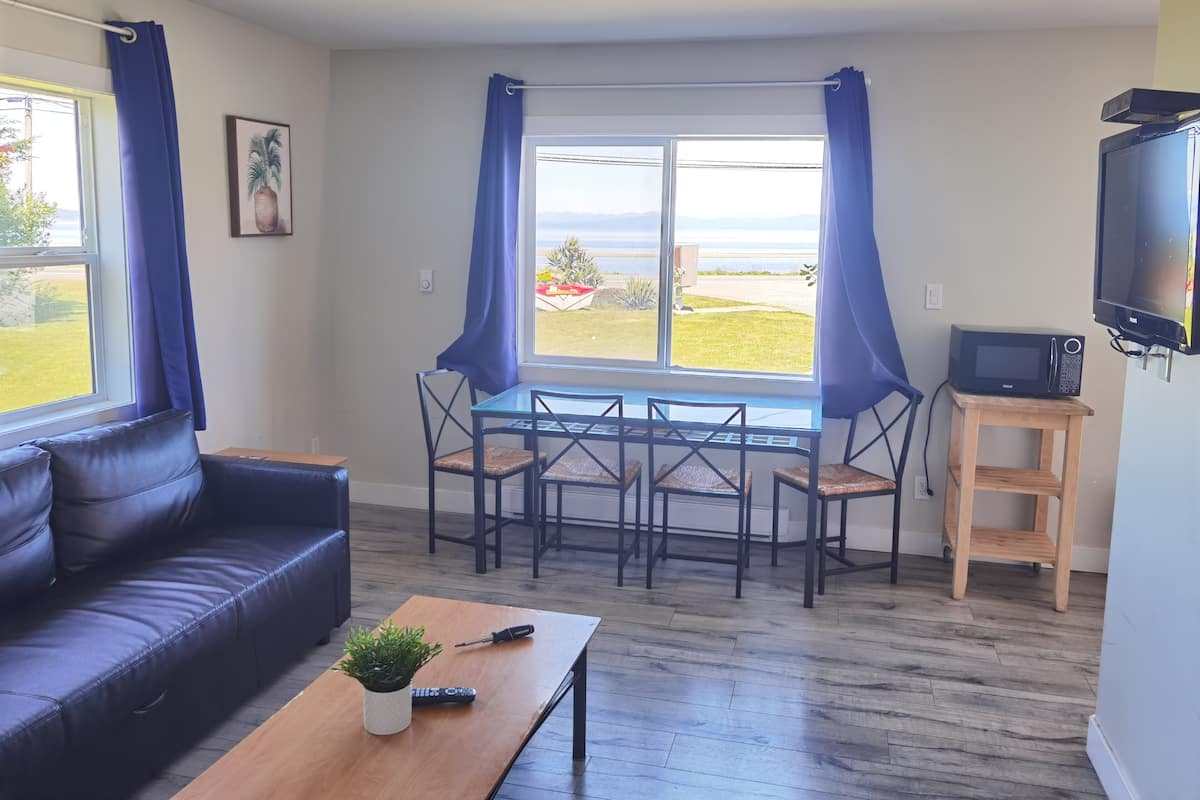 A living room with a sofa, a coffee table with a plant and remote, a dining table with chairs, a TV on a stand, and a view of the outdoors through a window.