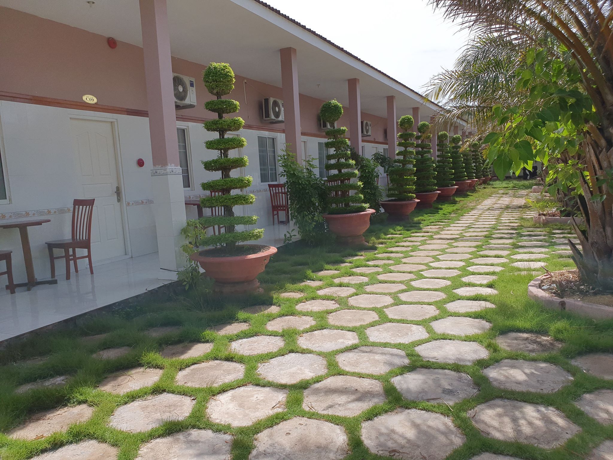 A hotel corridor with hexagonal stone flooring, potted topiary trees, and a row of chairs along the left side.