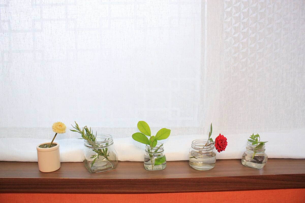 Five glass jars with plants on a wooden shelf.