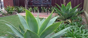 Glenelg Gateway Apartments