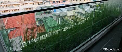 Vista desde la habitación