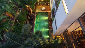 Outdoor pool, pool umbrellas, pool loungers