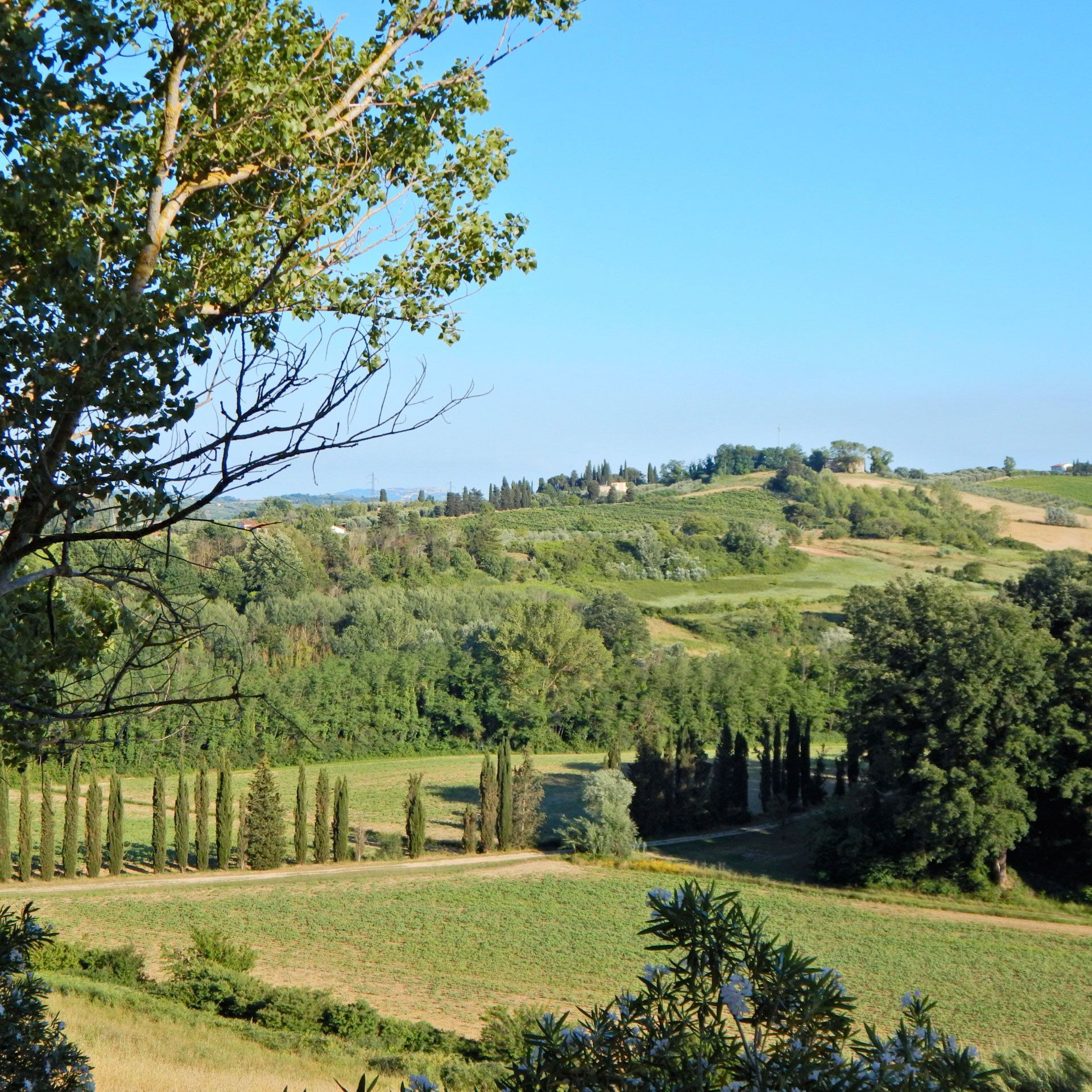 A rural landscape with rolling hills, a clear sky, and a distant building.