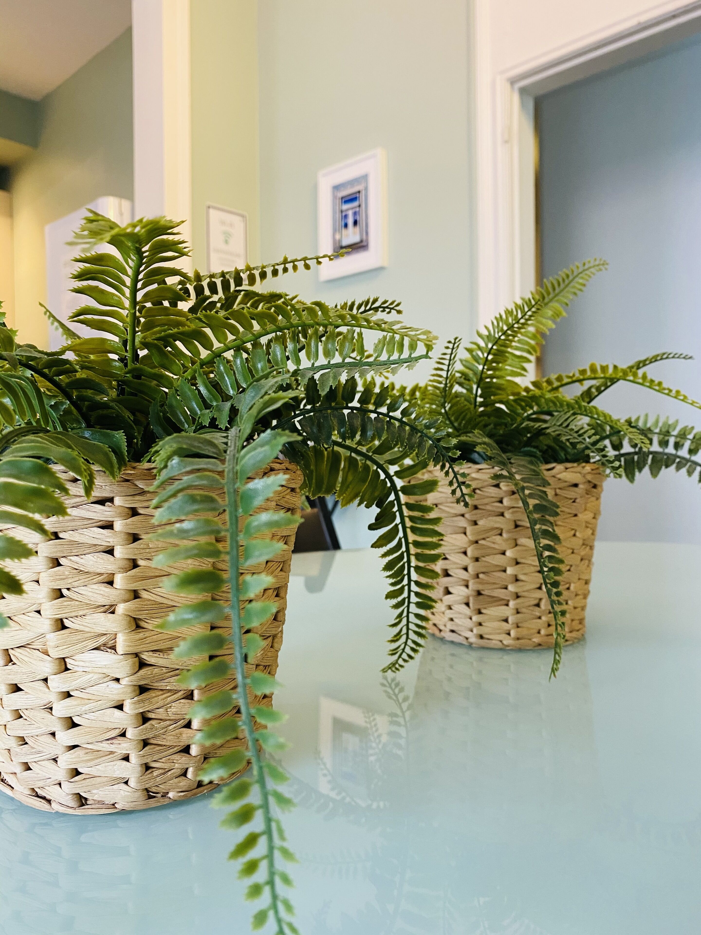 Three woven baskets containing green plants on a reflective surface.