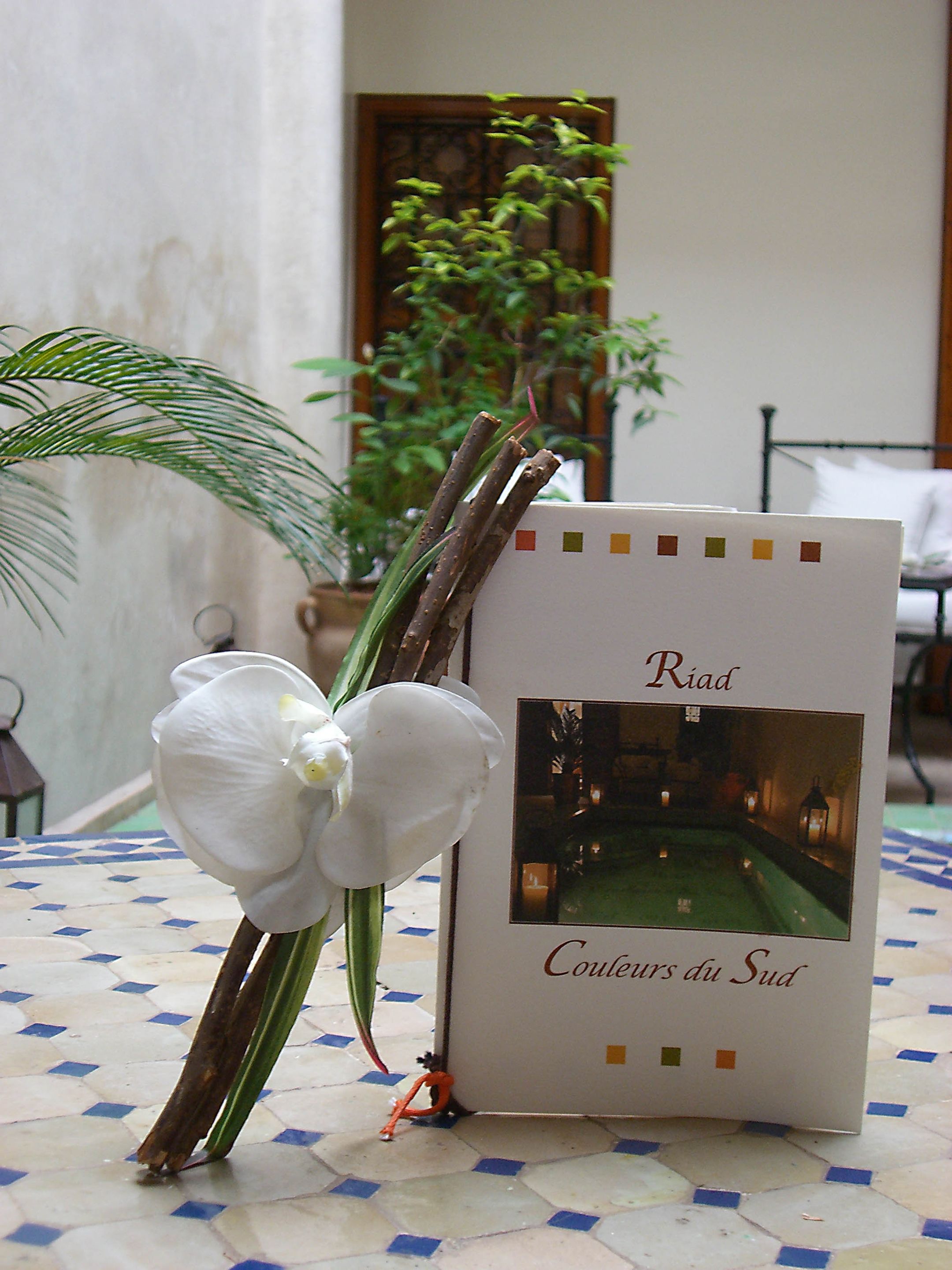 Una tarjeta con una foto de una piscina y el texto 'Riad Couleurs du Sud'.