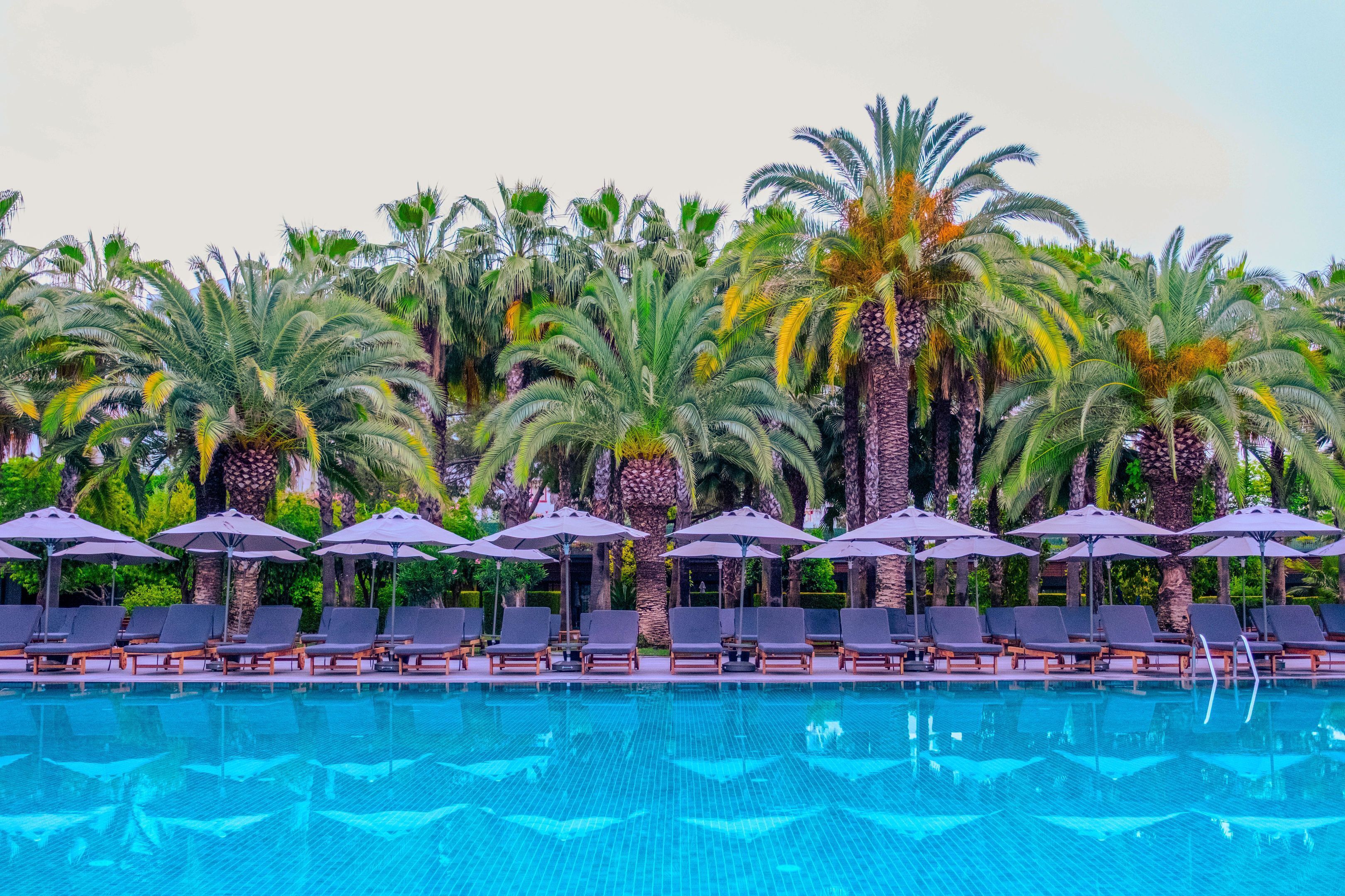 Indoor pool, outdoor pool, pool umbrellas, sun loungers