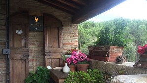 Teras/patio