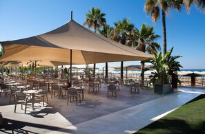 3 间酒吧/酒廊、池畔酒吧、海滨酒吧