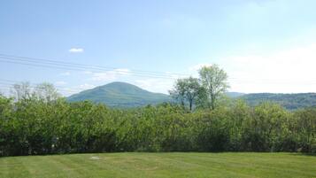 Economy Room, 1 Queen Bed | View from room