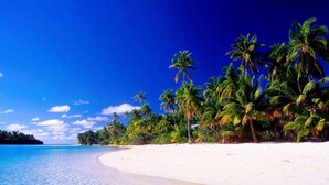 Una playa con agua turquesa cristalina, arena blanca y palmeras.