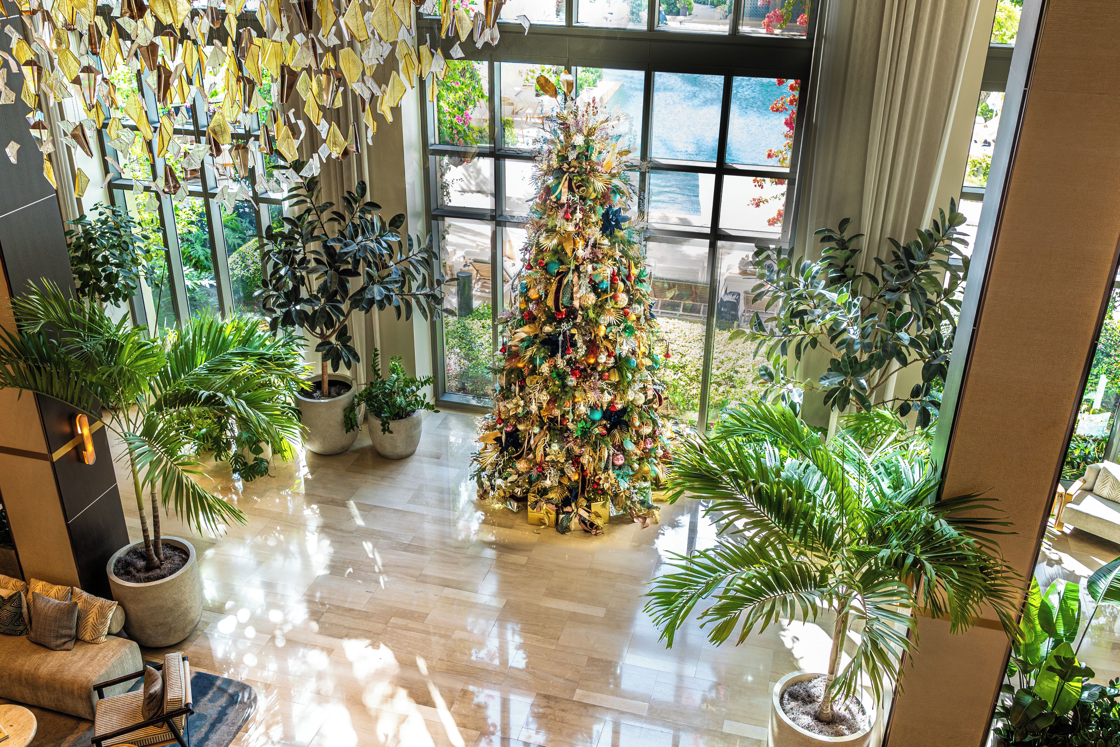 A spacious room with a large window, a Christmas tree, and several potted plants.
