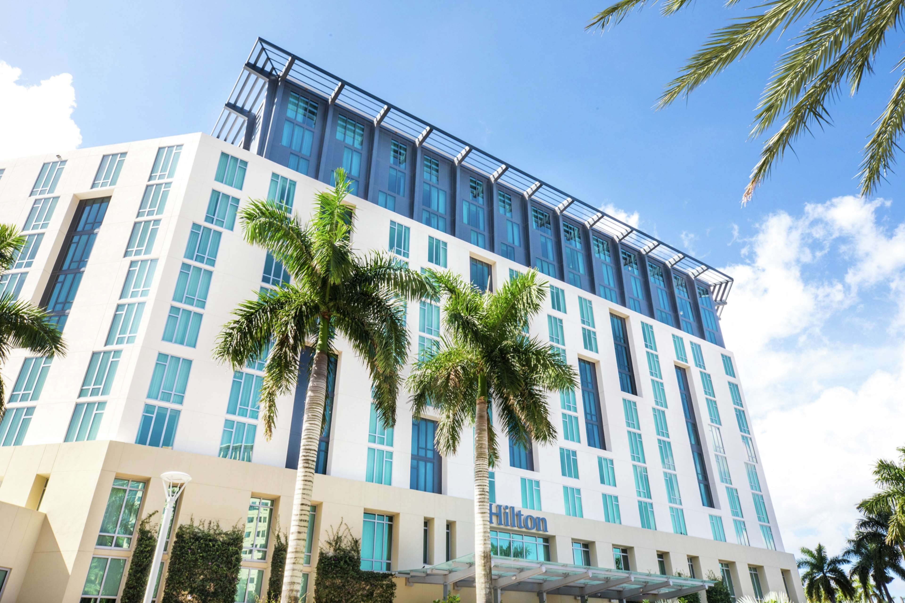 A modern hotel building with a glass facade, palm trees in front, and the Hilton logo.