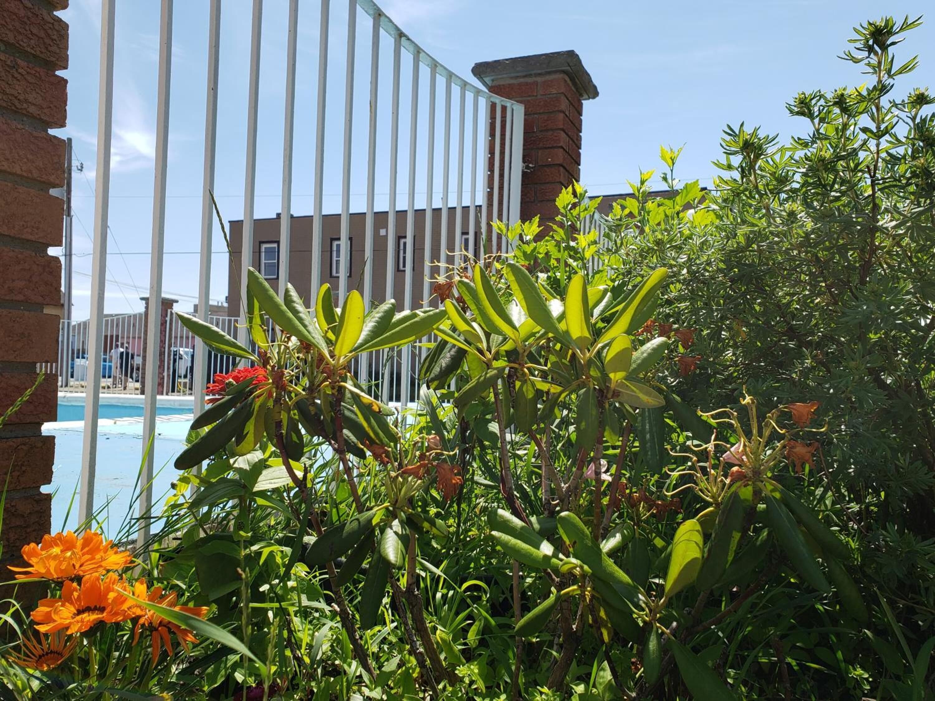 Overnatningsstedets område