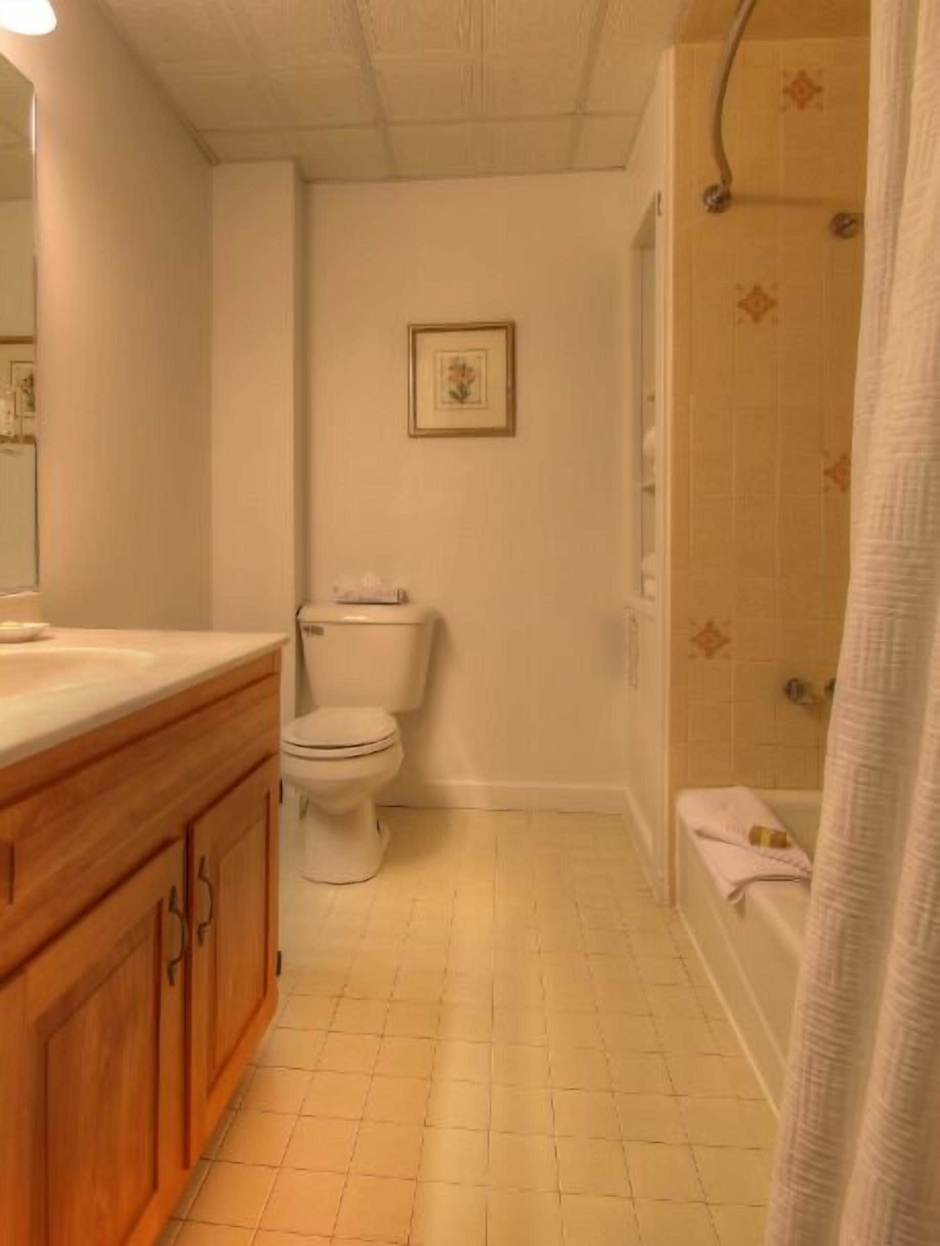 A bathroom with a toilet, a sink, and a shower area.