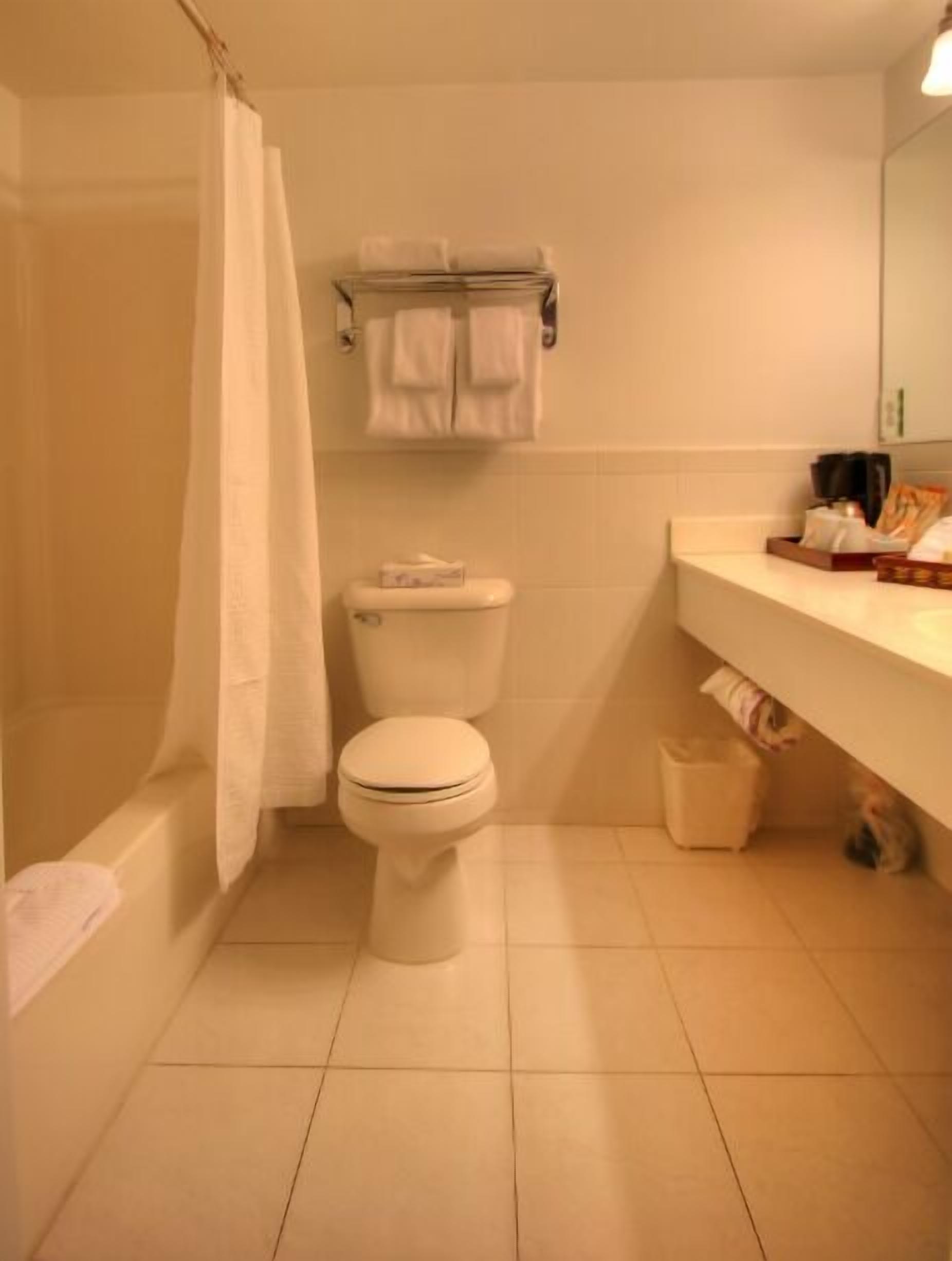 standard room, 1 bedroom, non smoking (120- 1 queen bed / 1 twin non-ov) | bathroom | hair dryer, towels