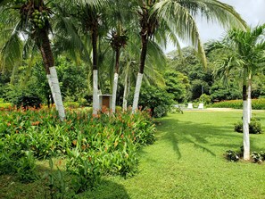 Garden - Angels Ecolodge (Veintisiete de Abril)