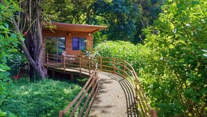 A wooden cabin with a deck and a curved wooden bridge leading to it, surrounded by lush greenery. - Angels Ecolodge (Veintisiete de Abril)