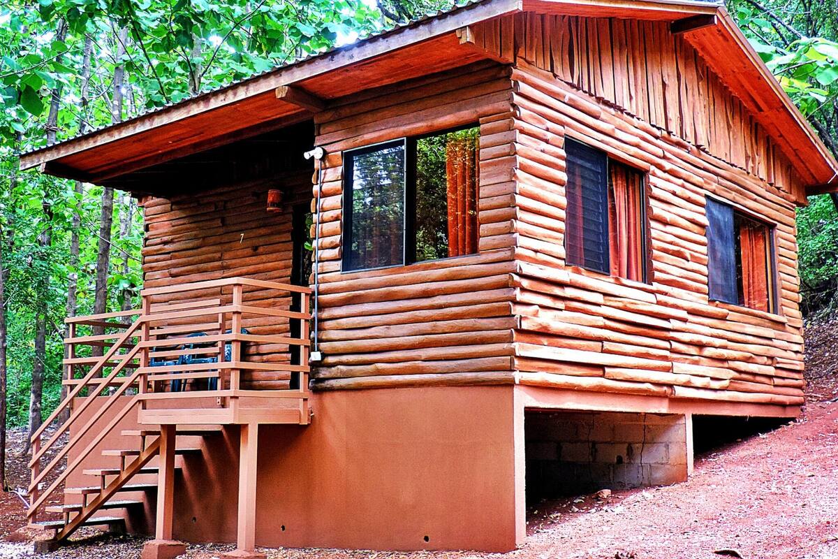 Una cabaña de troncos con una escalera de madera que lleva a una terraza, rodeada de un bosque denso.