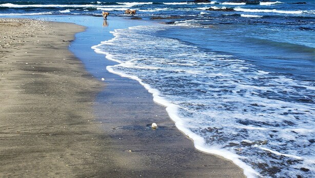 A beach with a clear sky, waves, and a person walking. - Angels Ecolodge (Veintisiete de Abril)
