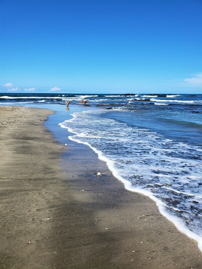 安杰斯生态小屋
