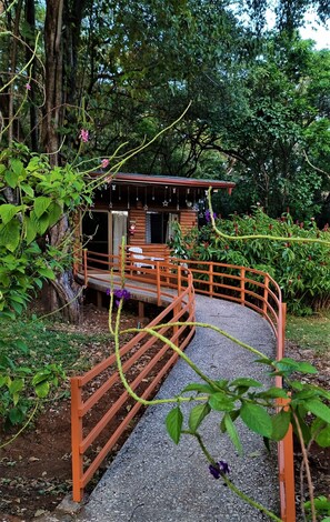 A rustic wooden cabin with a porch, surrounded by lush greenery and a gravel path leading to it. - Angels Ecolodge (Veintisiete de Abril)
