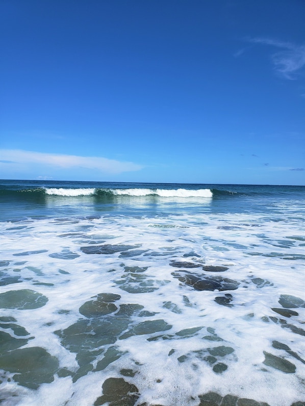 Beach shuttle