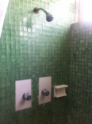 Douche de la salle de bain