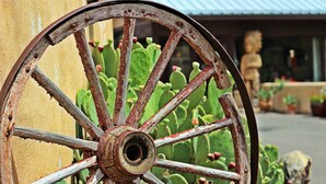 Una rueda de madera rústica con un cactus de fondo.