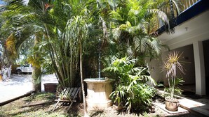 A garden with various plants, a concrete water feature, and a wooden bench. - Nicte Ha Campeche (Campeche)