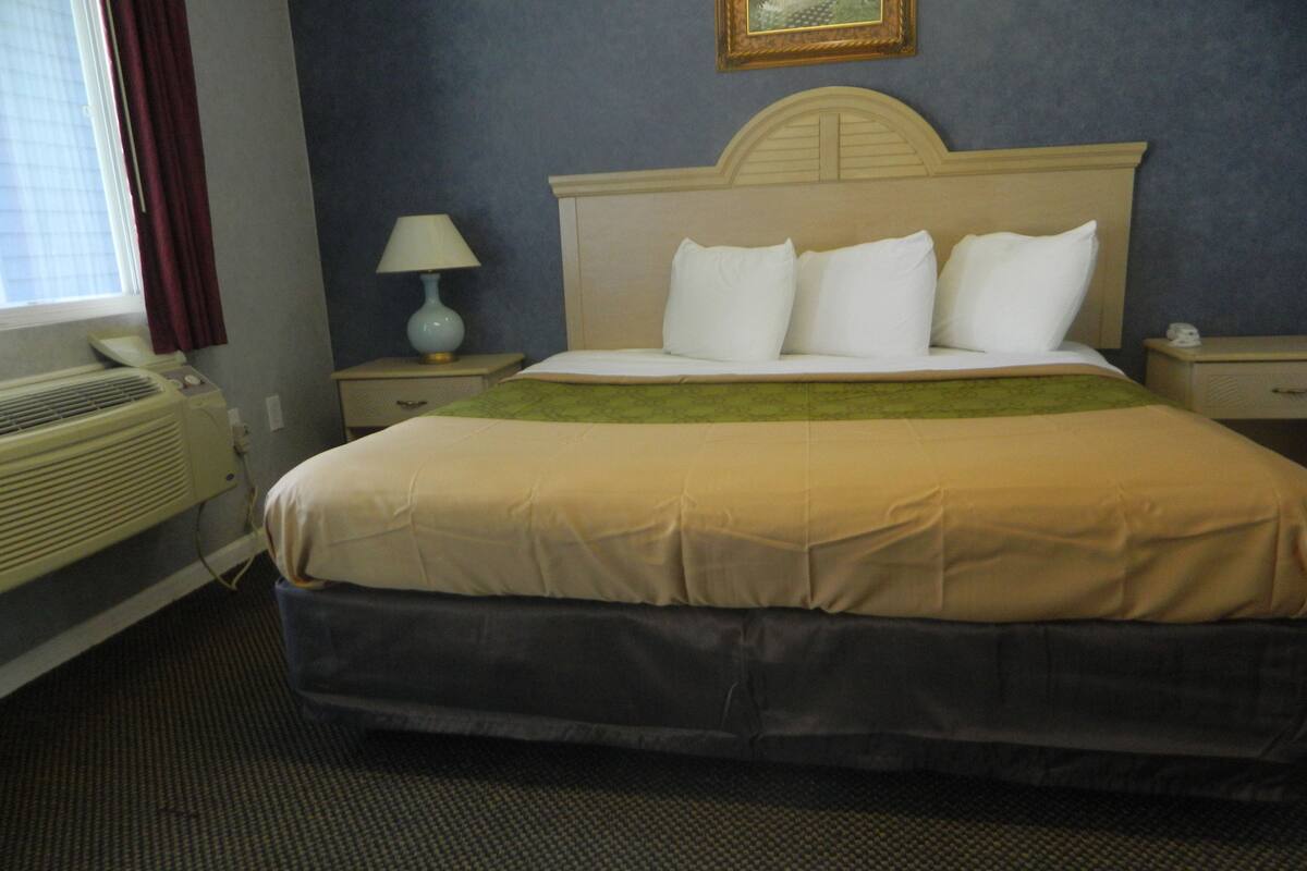 A hotel room with a bed, a nightstand, a lamp, a window with curtains, and a radiator.