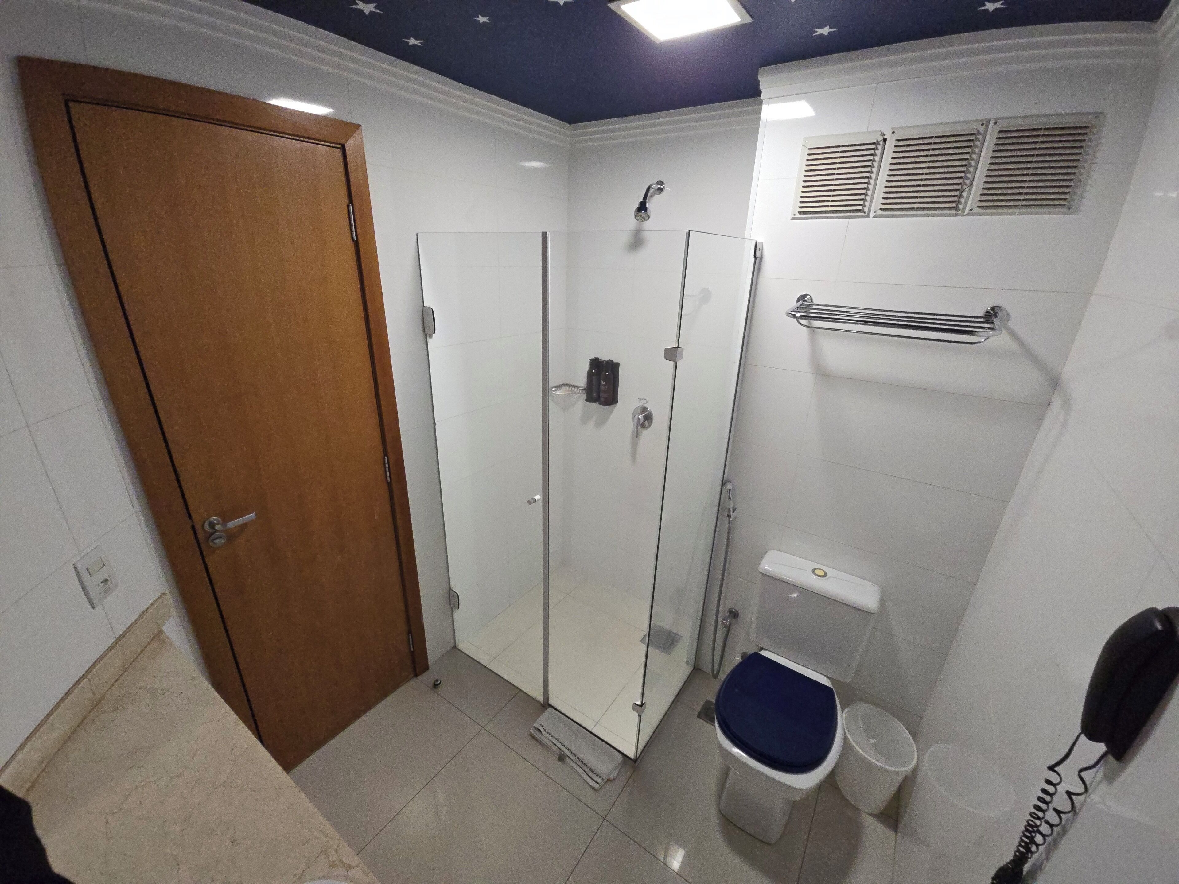 Ein Badezimmer mit Holztür, Duschkabine aus Glas, Toilette und Telefon.