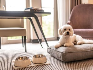 1 chambre, literie de qualité supérieure, surmatelas, minibar