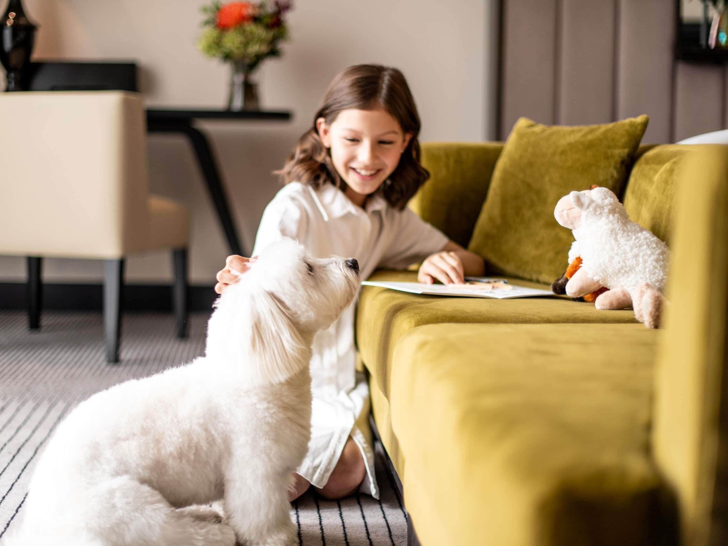 Premium bedding, pillowtop beds, minibar, in-room safe