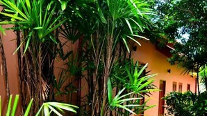 A building with a yellow facade, surrounded by lush greenery and a stone pathway leading to the entrance. - The Happy Elephant Resort (Rawai)