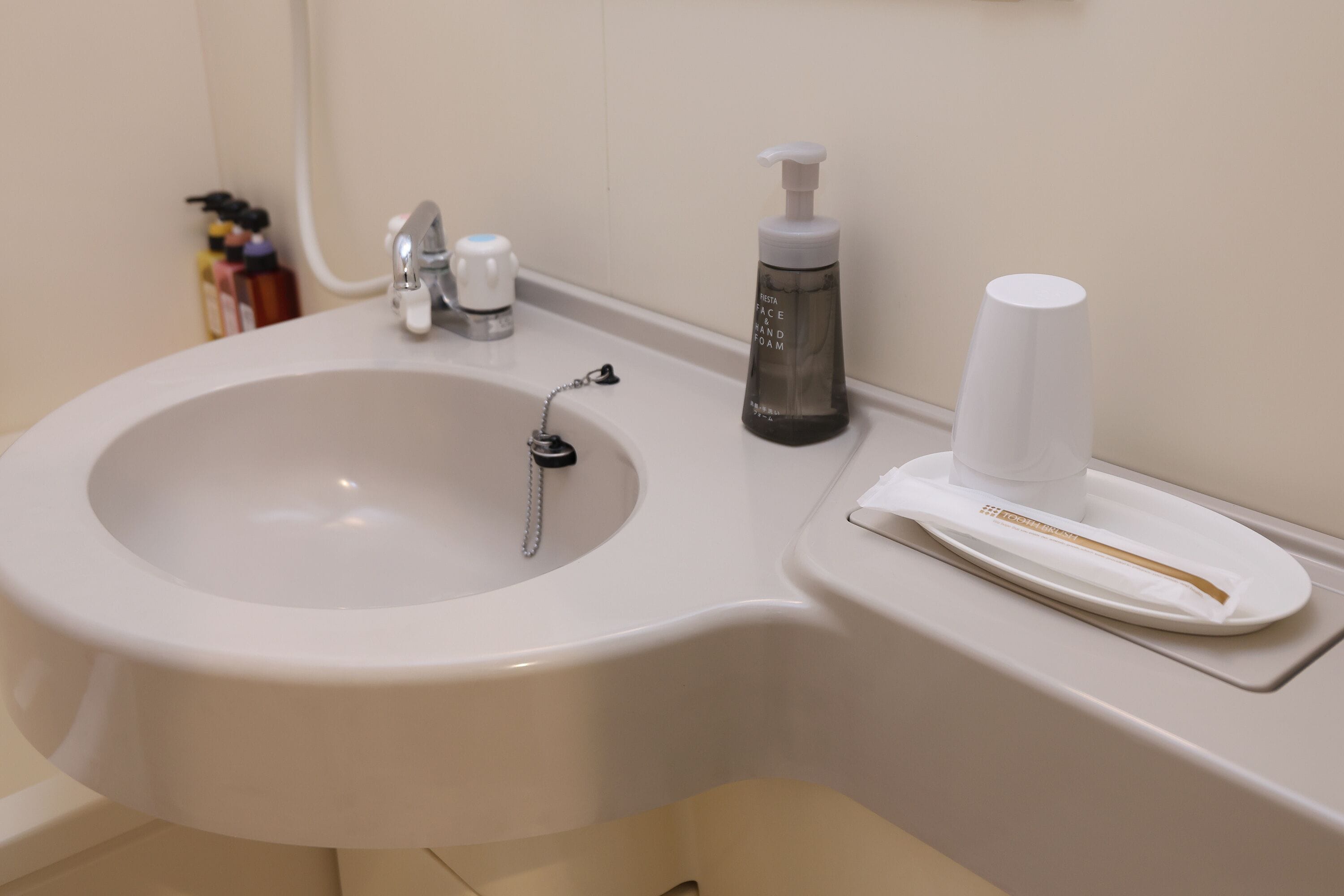 combined shower/bathtub, free toiletries, hair dryer, slippers